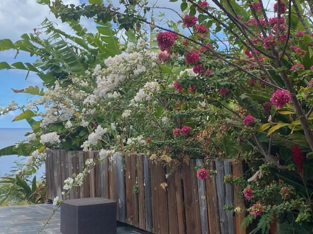 Bungalow Mathilde-non fumeur Bouillante Exterior foto
